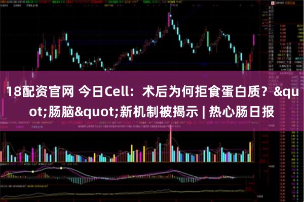 18配资官网 今日Cell：术后为何拒食蛋白质？"肠脑"新机制被揭示 | 热心肠日报