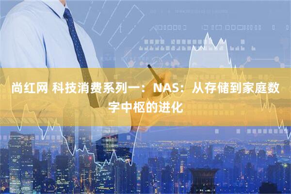 尚红网 科技消费系列一：NAS：从存储到家庭数字中枢的进化