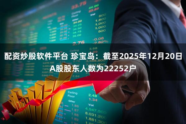 配资炒股软件平台 珍宝岛：截至2025年12月20日A股股东人数为22252户
