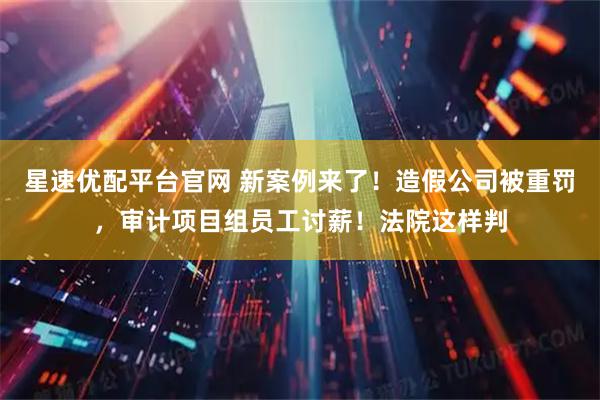 星速优配平台官网 新案例来了！造假公司被重罚，审计项目组员工讨薪！法院这样判