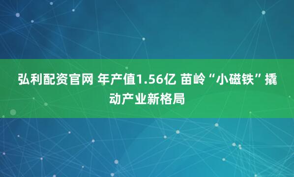 弘利配资官网 年产值1.56亿 苗岭“小磁铁”撬动产业新格局