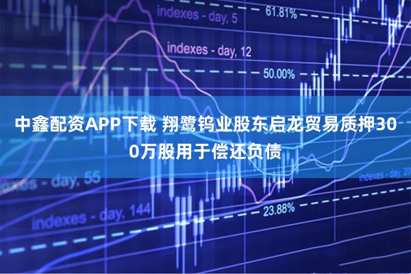 中鑫配资APP下载 翔鹭钨业股东启龙贸易质押300万股用于偿还负债