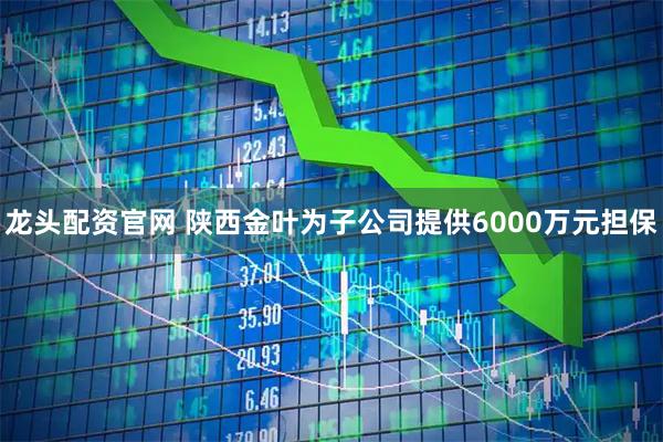 龙头配资官网 陕西金叶为子公司提供6000万元担保