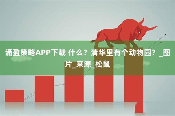 涌盈策略APP下载 什么？清华里有个动物园？_图片_来源_松鼠