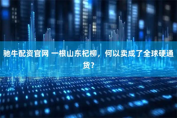 驰牛配资官网 一根山东杞柳,何以卖成了全球硬通货?